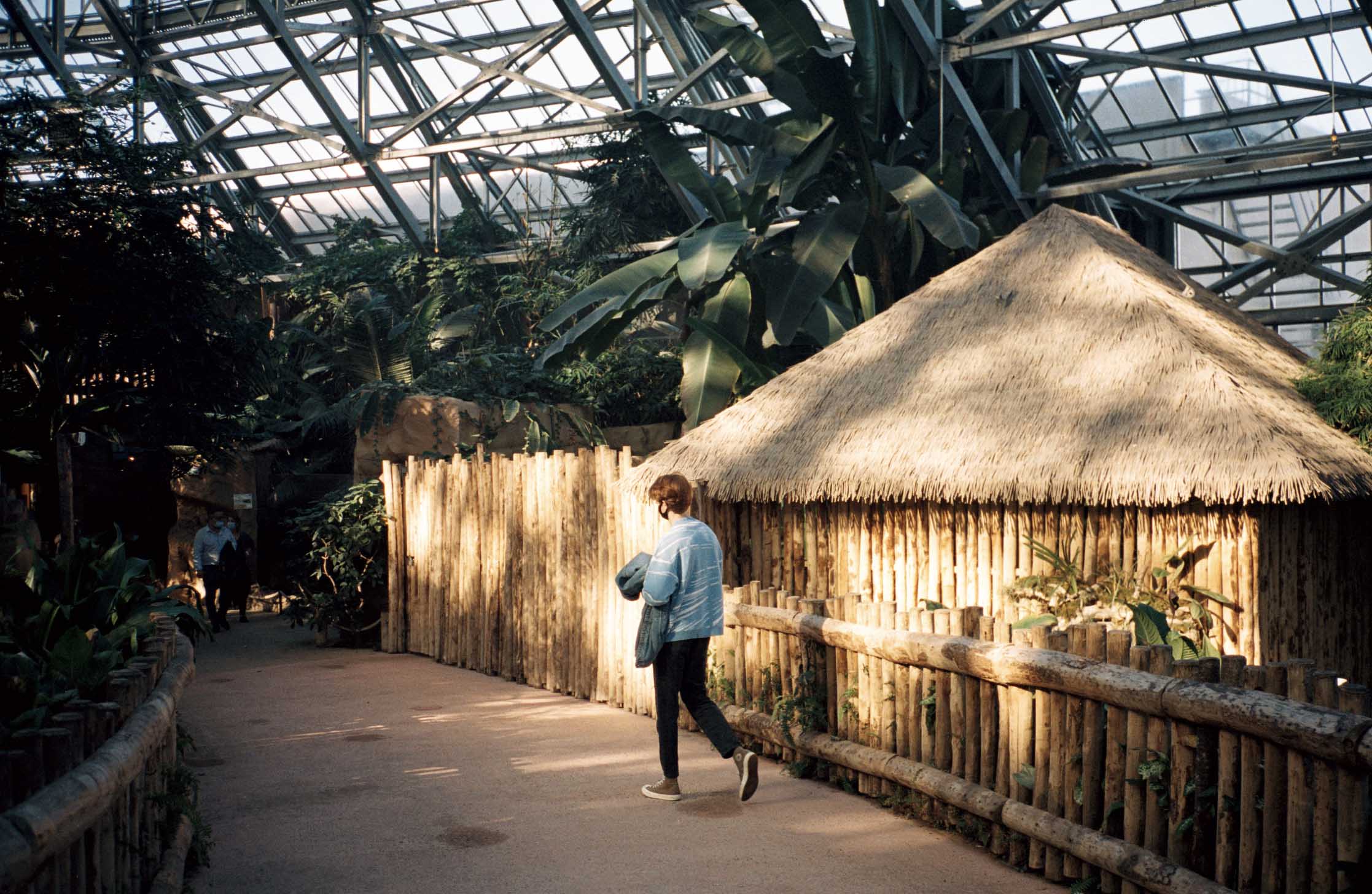 MULTI-DIMENSION W/ ROBOTKAO